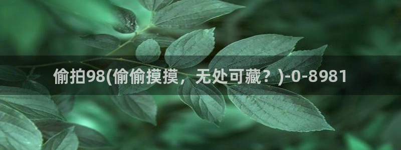 办公室偷拍视频