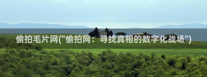 小说区图片区偷拍区