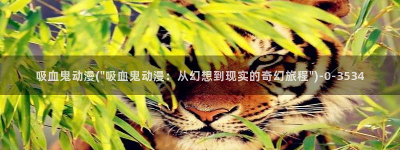 动漫本子