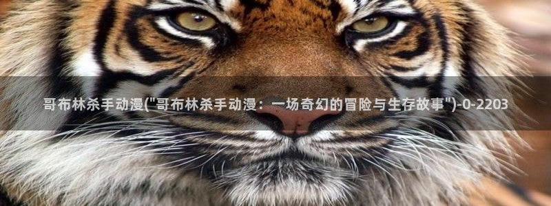 男同动漫:哥布林杀手动漫(\