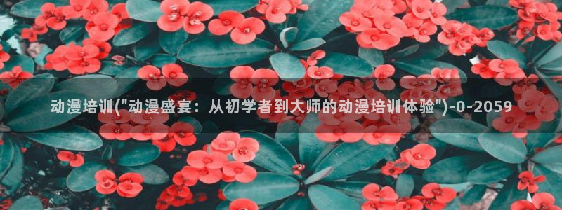 58动漫网