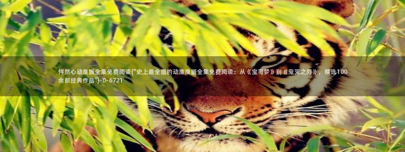 动漫排行榜