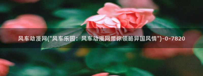新世界动漫
